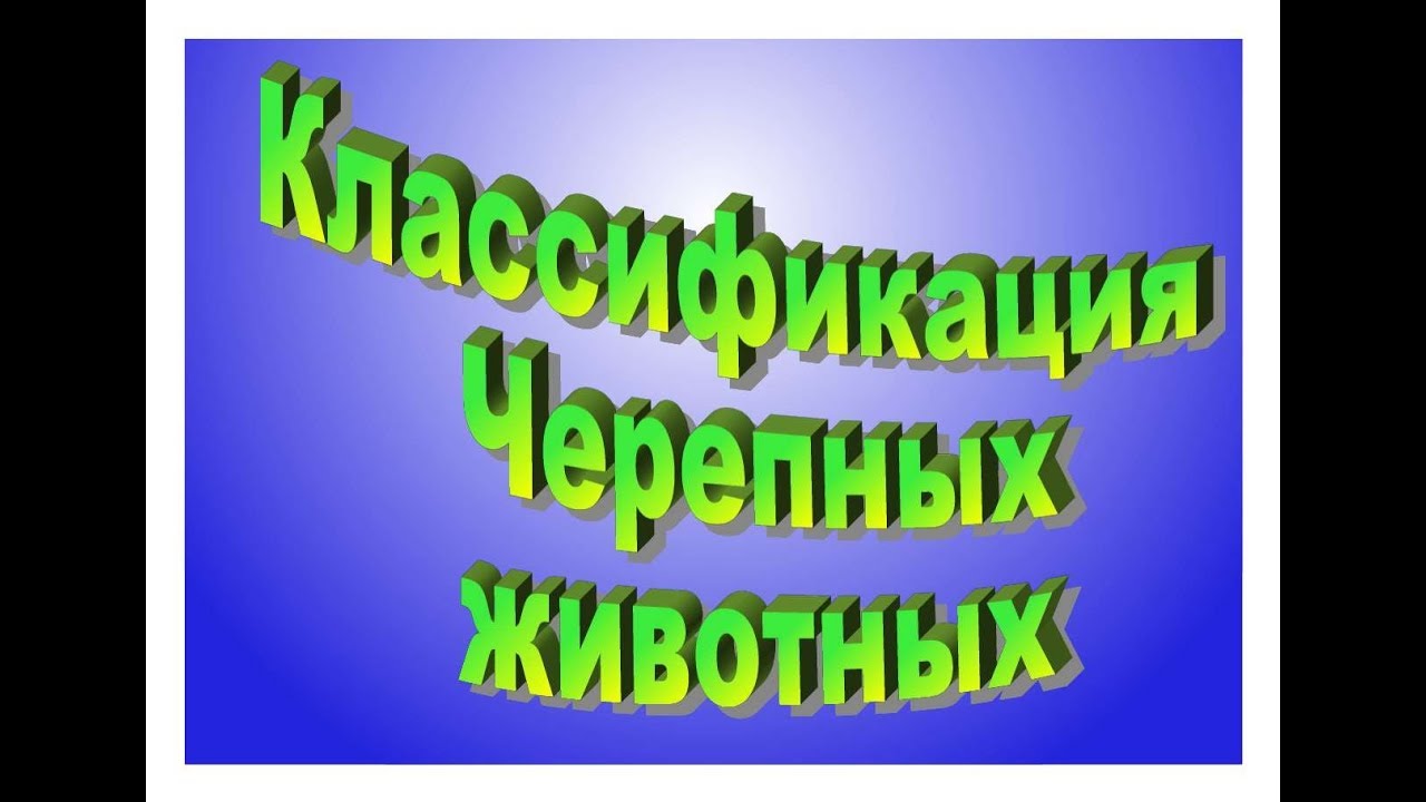 Классификация Черепных животных (Craniata) в систематике
