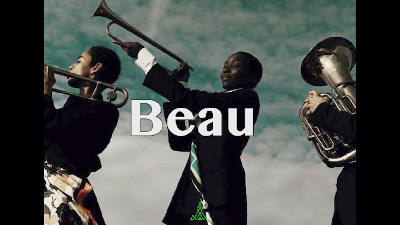 Beau - tyla x naika typa beat