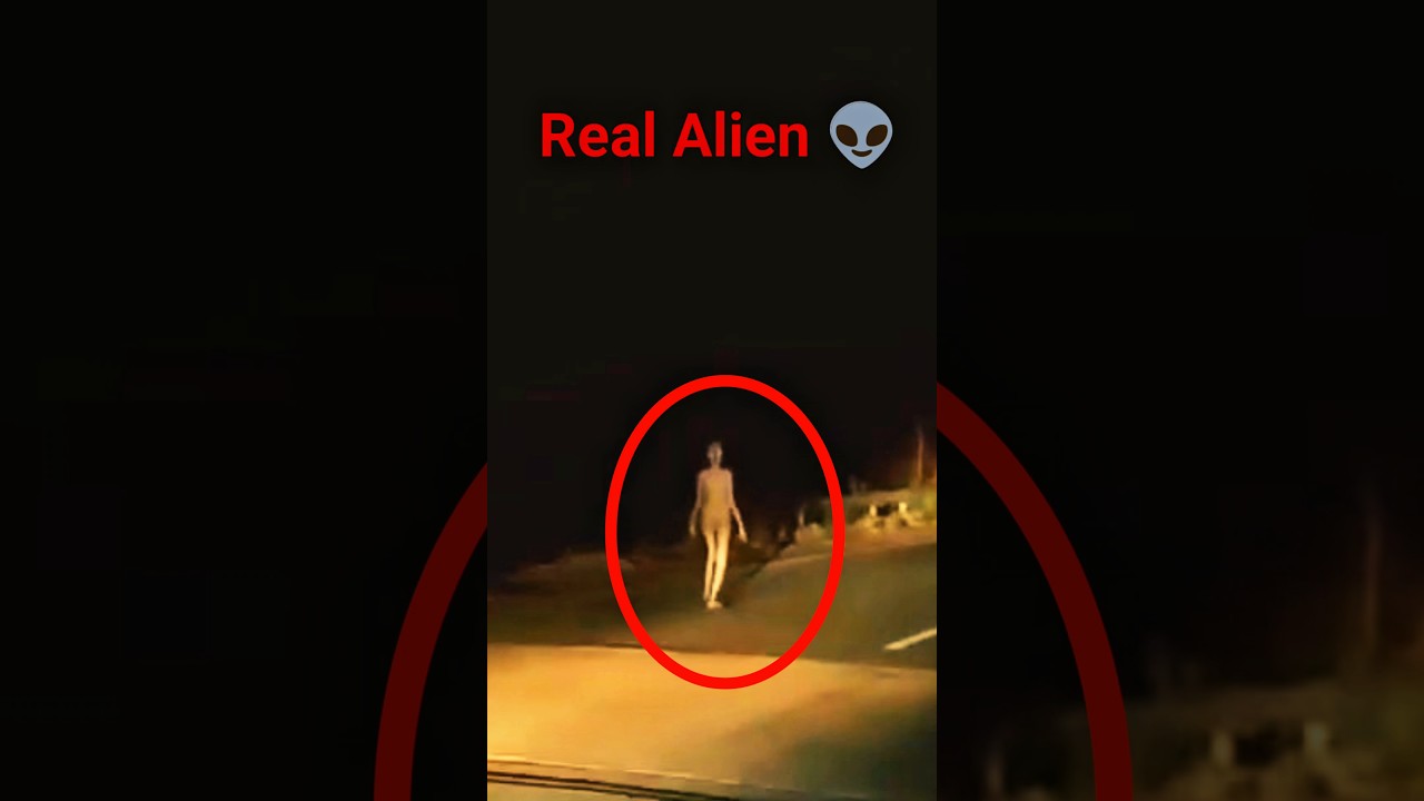 The Real Alien 🤯 #shorts