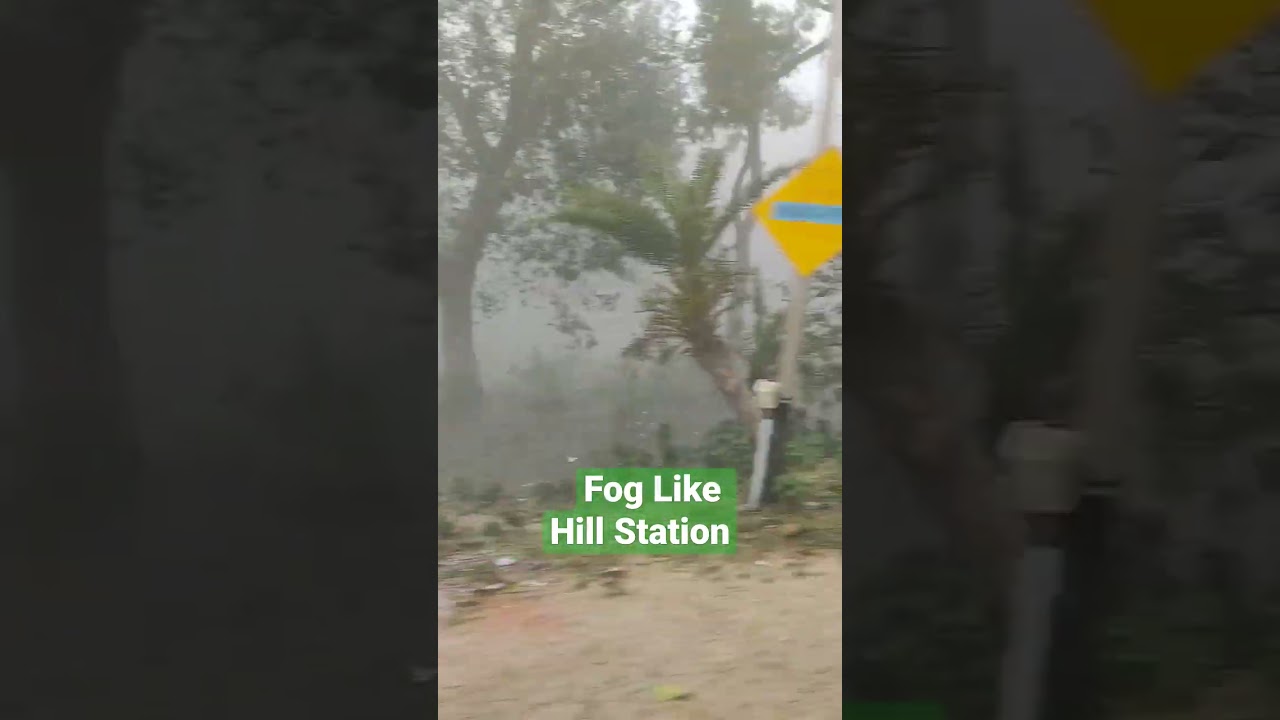 Fog Like Hill Station in Bihar in Winter Season