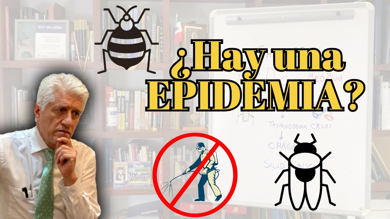 CHINCHES: ¿EPIDEMIA o PSICOSIS COLECTIVA?