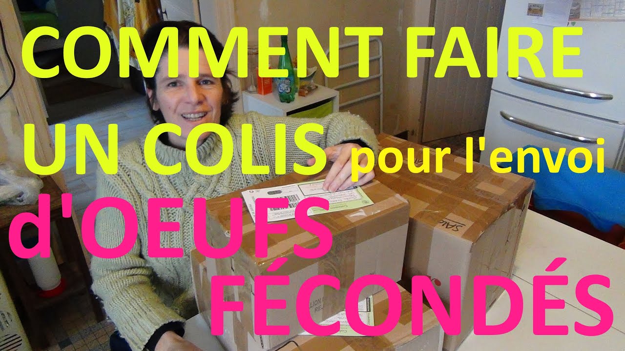 Conception d'un colis pour l'envoi d'eufs fécondés