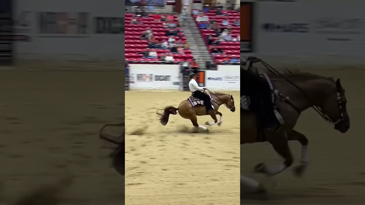 Andrea Fappani and Whizsicle👏 