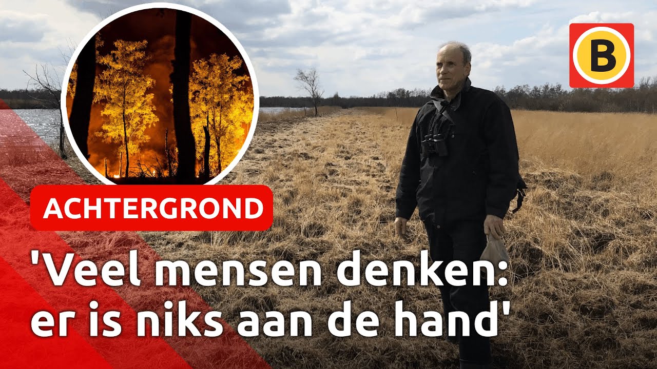 Jaar na de Peelbrand: angst regeert nog bij omwonenden | Omroep Brabant