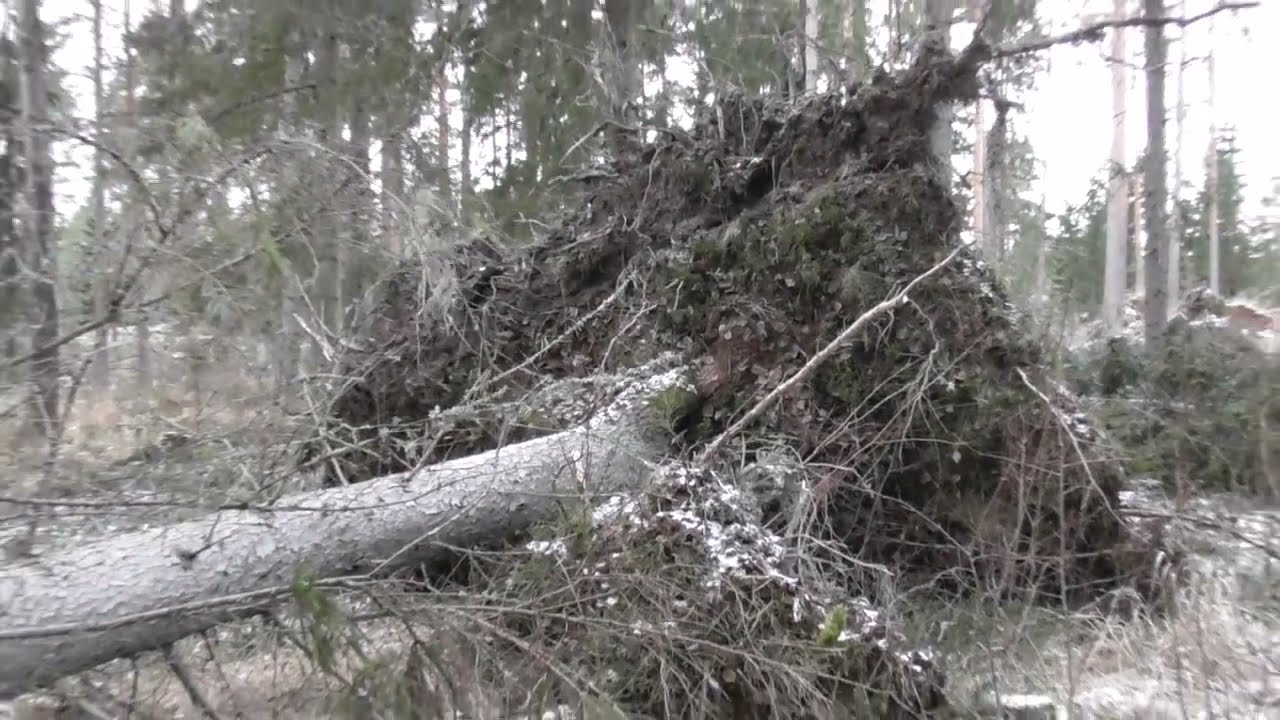 Myrskyn jälkeen (2025), osa 2.
