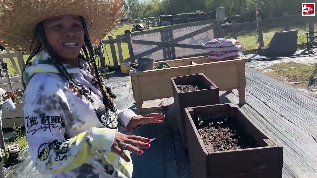 Black Houston cowboy culture historic and contemporary
