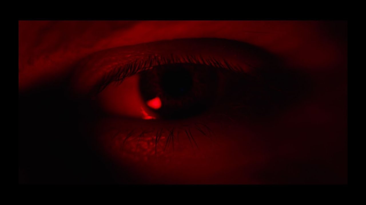 BAASCH - Grizzly (Official Video)