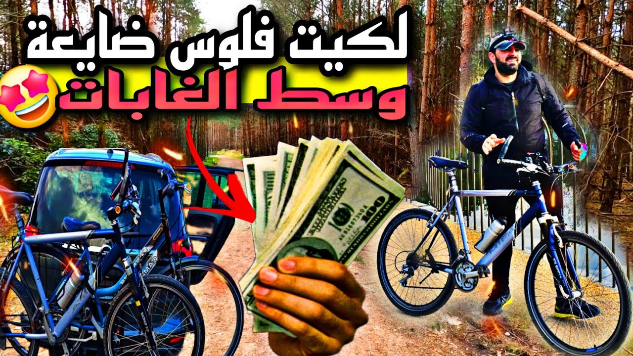 مغامرة ساحرة في الجبال والغابات لكيت فلوس في محفظه