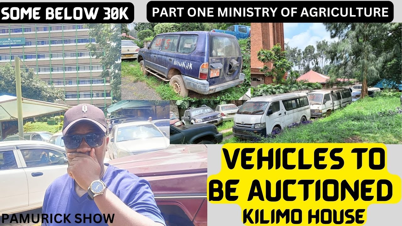 MINISTRY of Agriculture USED vehicles On Auction/ Affordable cars 30K/ Part 1