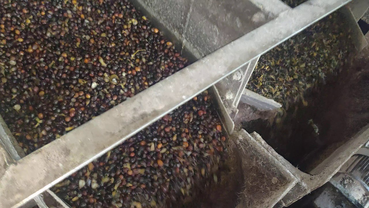 CLAYBATH PALM OIL MILL