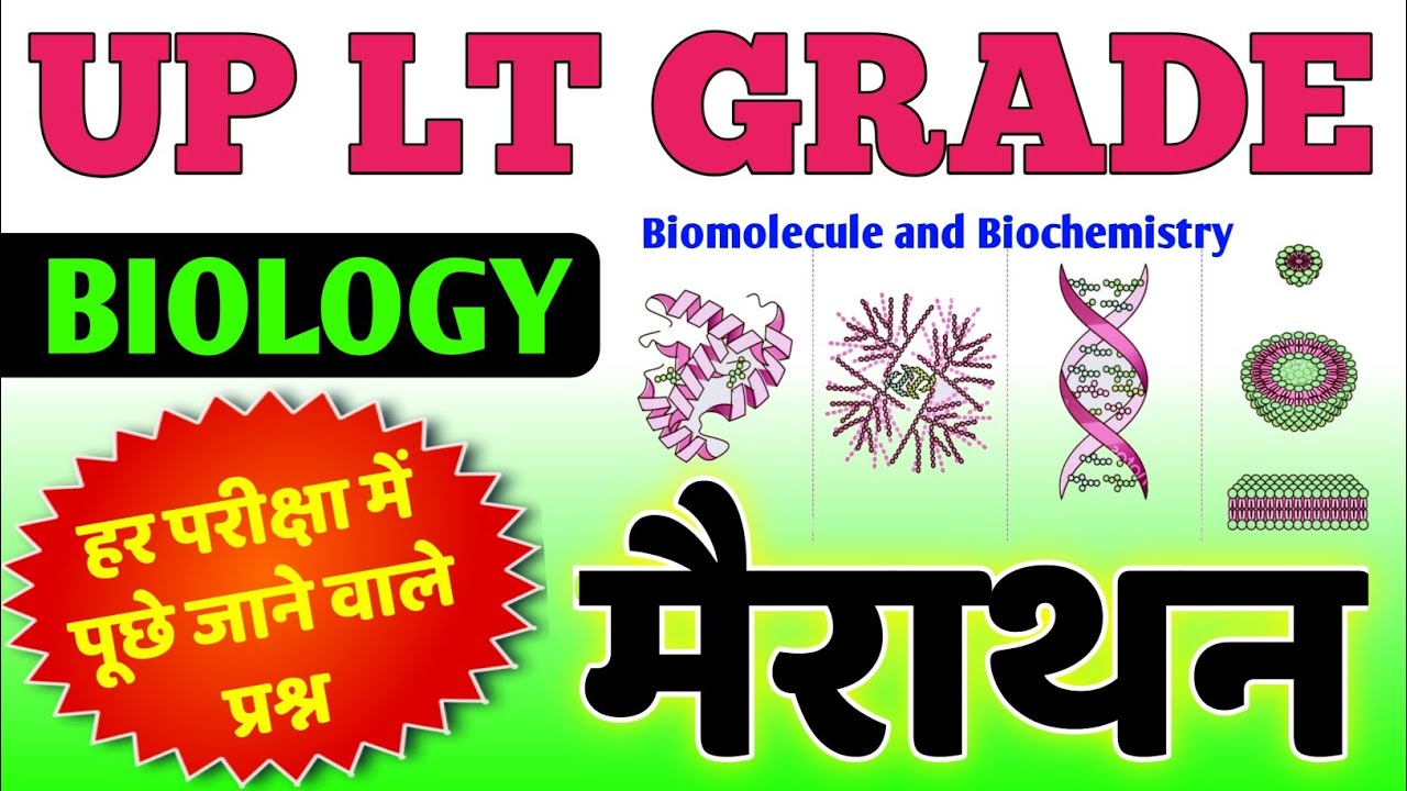 Lt grade Biology मैराथन | lt grade biology Marathon class | biomolecules and biochemistry for Lt bio
