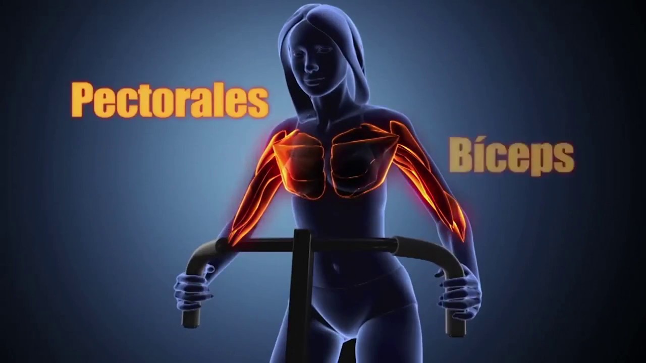 Máquina de Ejercicio Total Crunch - Falabella