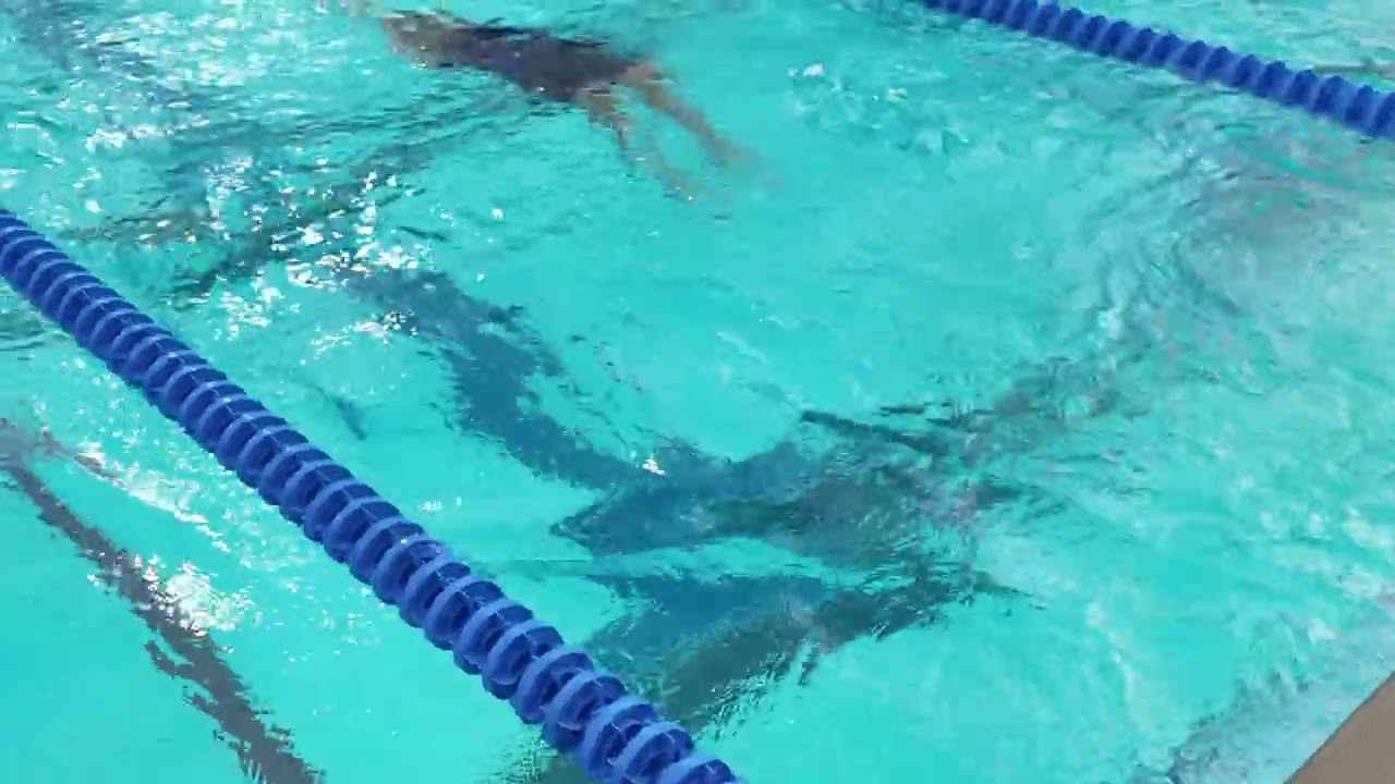 2026 CA SCS Swim Festival 01 24 2026 to 01 25 2026 SC 100BK Heat 1 Lane 8 Sophia