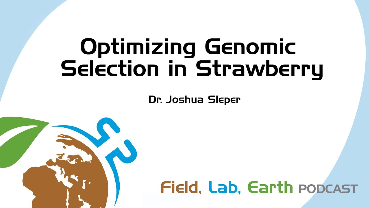 Optimizing Genomic Selection in Strawberry with Dr. Joshua Sleper | Field, Lab, Earth Podcast #137