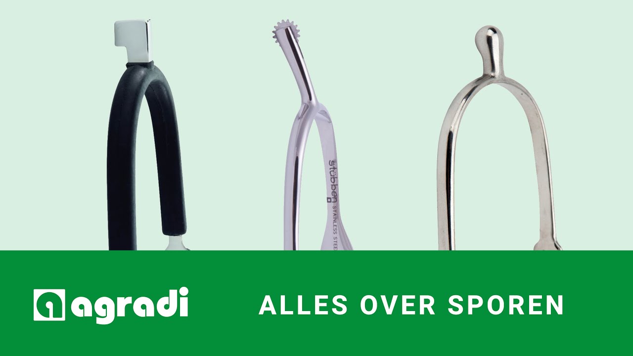 Alles over sporen