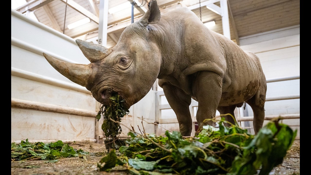 Cleveland Metroparks Zoo Silage Program