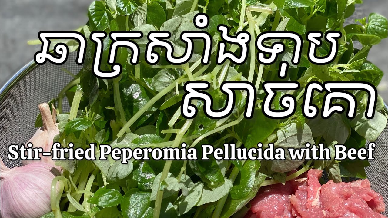 ឆាក្រសាំងទាបសាច់គោ 🍲 | Stir-fried Peperomia Pellucida with Beef 