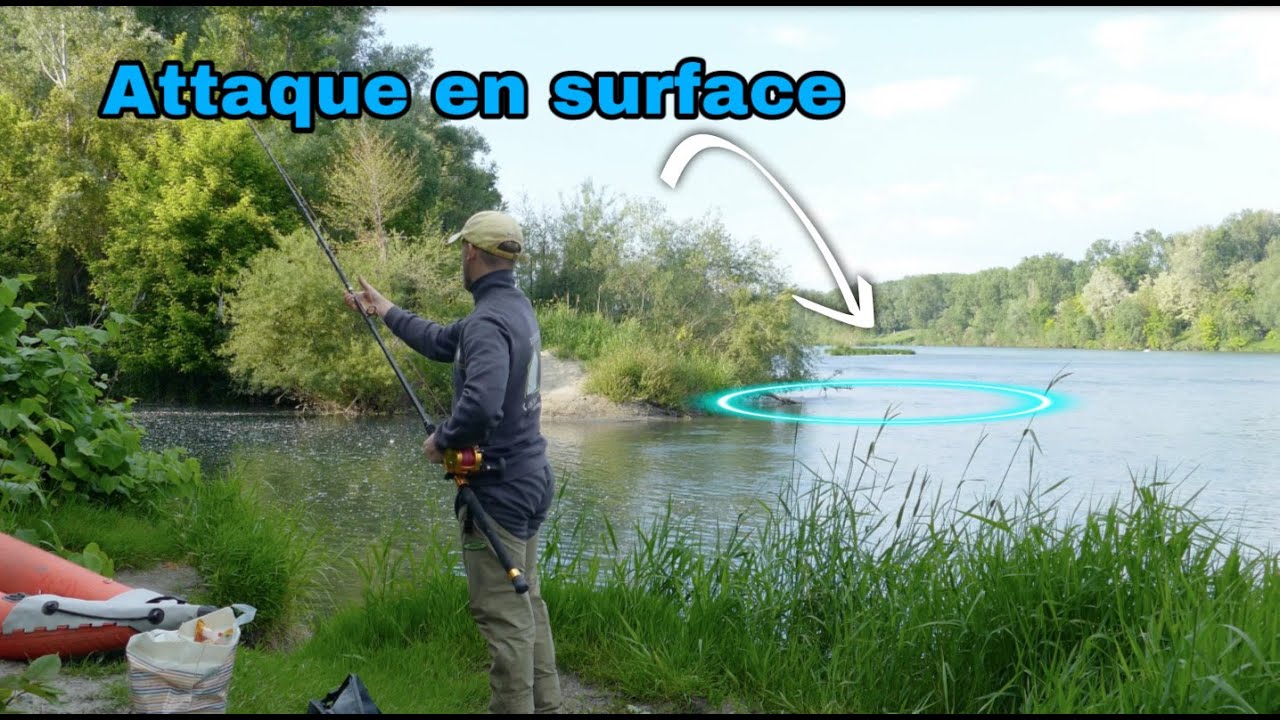 Pêche silure au cassant 