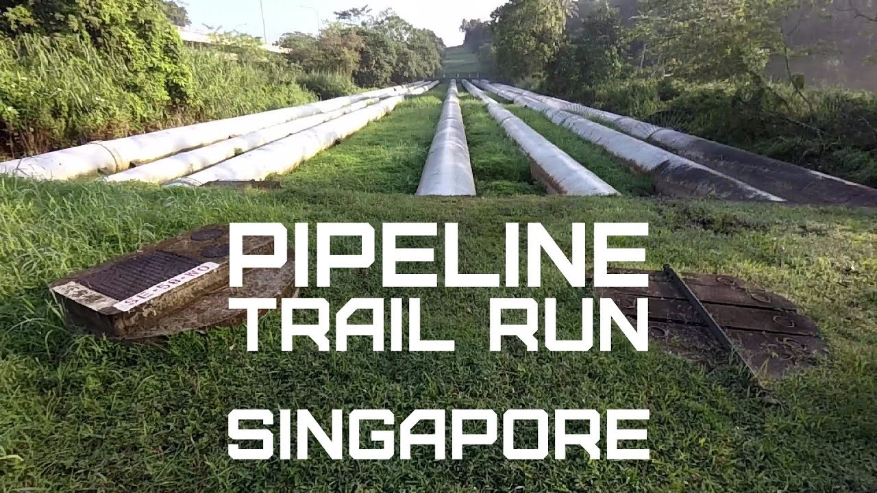 20170415   Singapore pipeline trail run