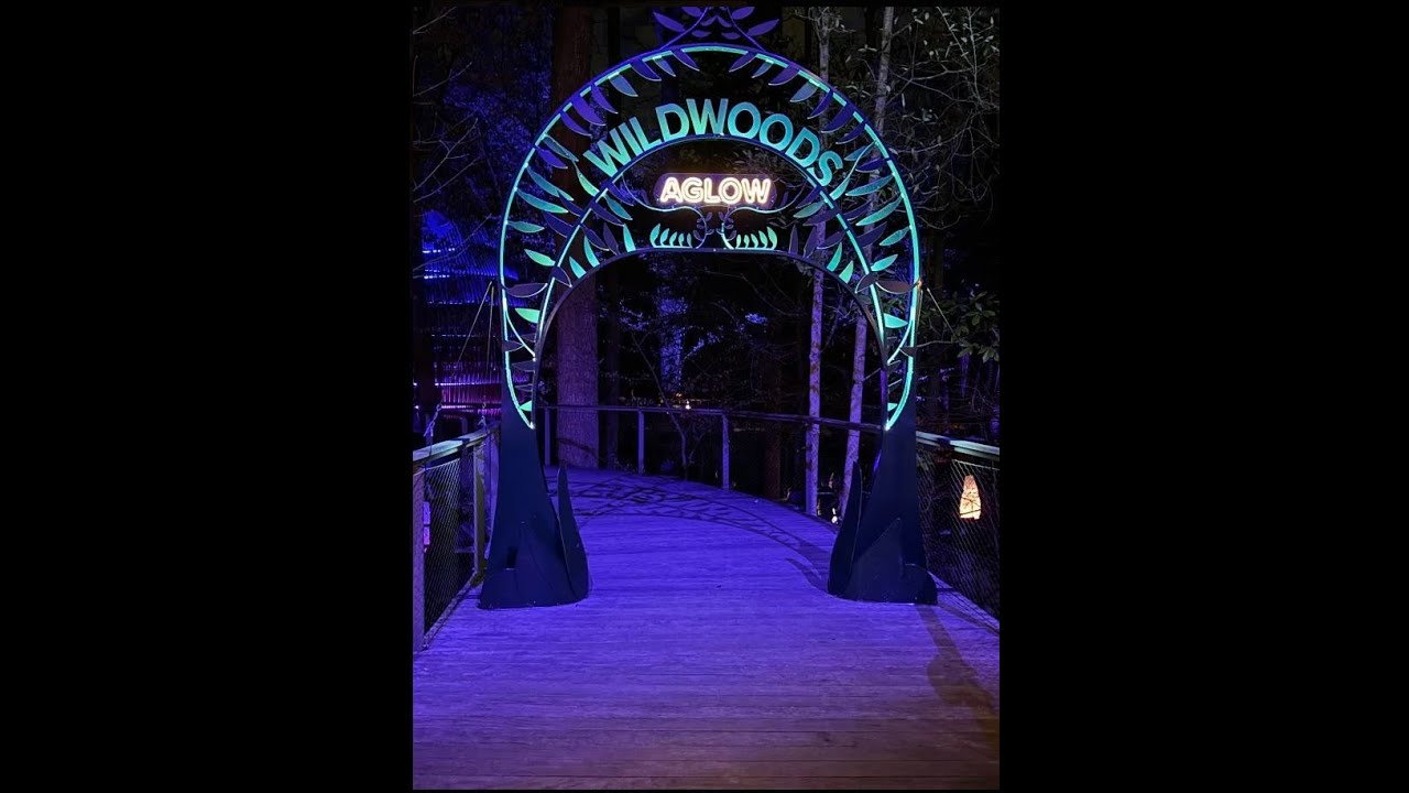 Wildwoods AGlow at Fernbank  Atlanta GA   2 22 2025