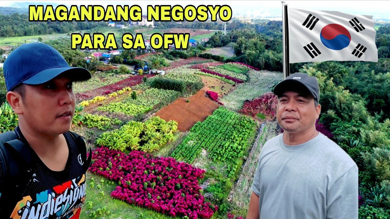 Sa Kapwa ko OFW Kababayan Negosyo ba hanap mo Direct Supplier Murang mga halaman  (Export sa KOREA)