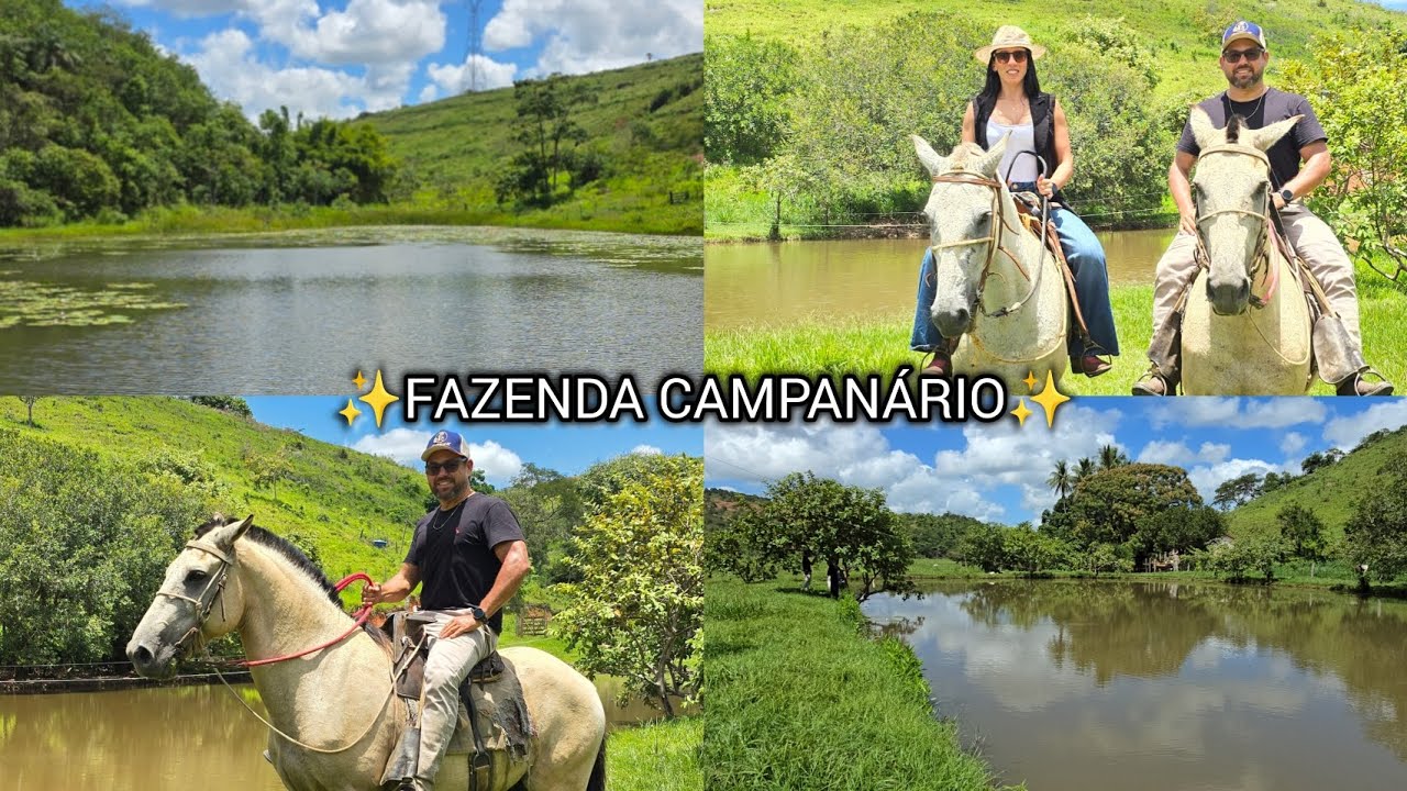 ✨️ FAZENDA CAMPANÁRIO 142,9751HA ✨️ VÍDEO AMONTADO A CAVALO ATUALIZADO 