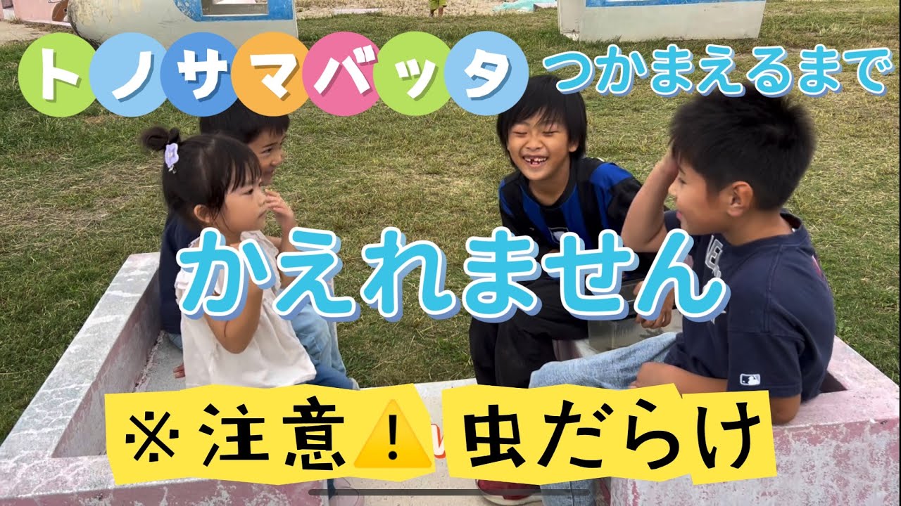 トノサマバッタつかまえるまで かえれません！