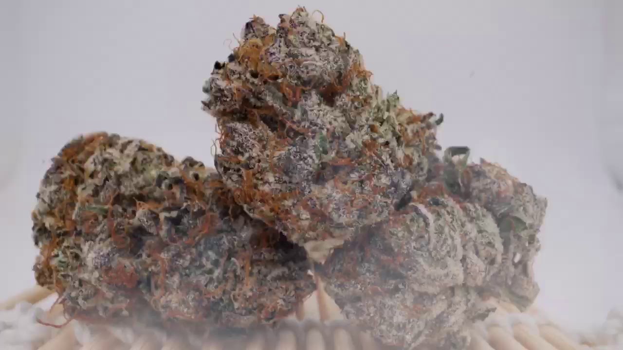Blue Sherbet Commercial