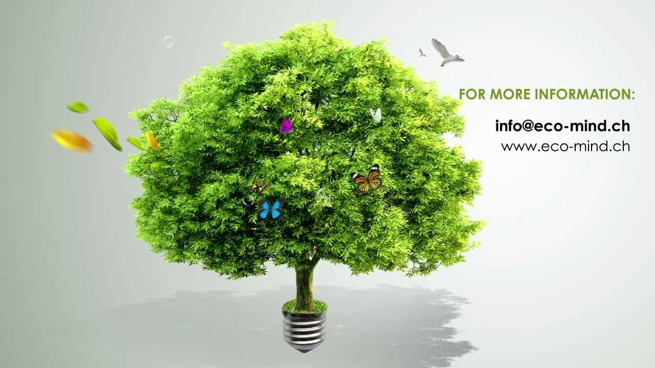 ECO-MIND Who are we? [EN]