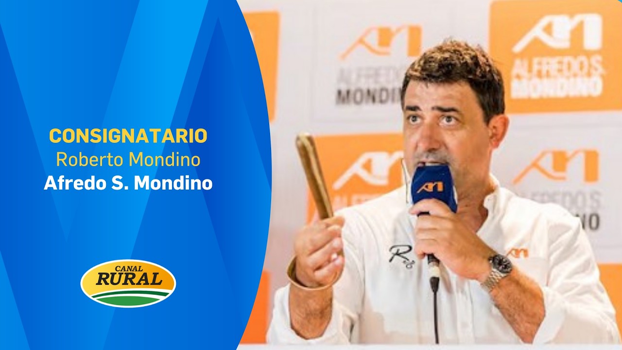 ROBERTO MONDINO - ALFEDO S. MONDINO - MV 04/03