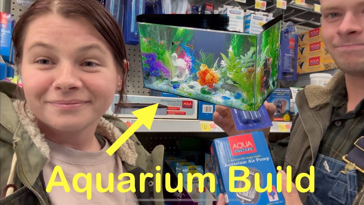 SMALL AQUARIUM BUILD for bedroom #fish #aquarium #reallife #geckoleopard #leopardgecko #animals