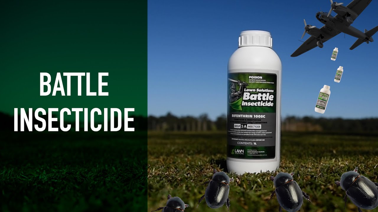 Treatment for Lawn Pests | Introducing Lawn Solutions Battle Insecticide