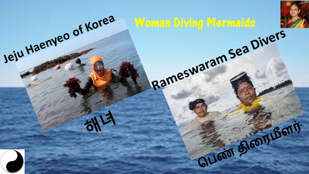 Woman Diving Mermaids of Jeju and Rameshwaram - Short