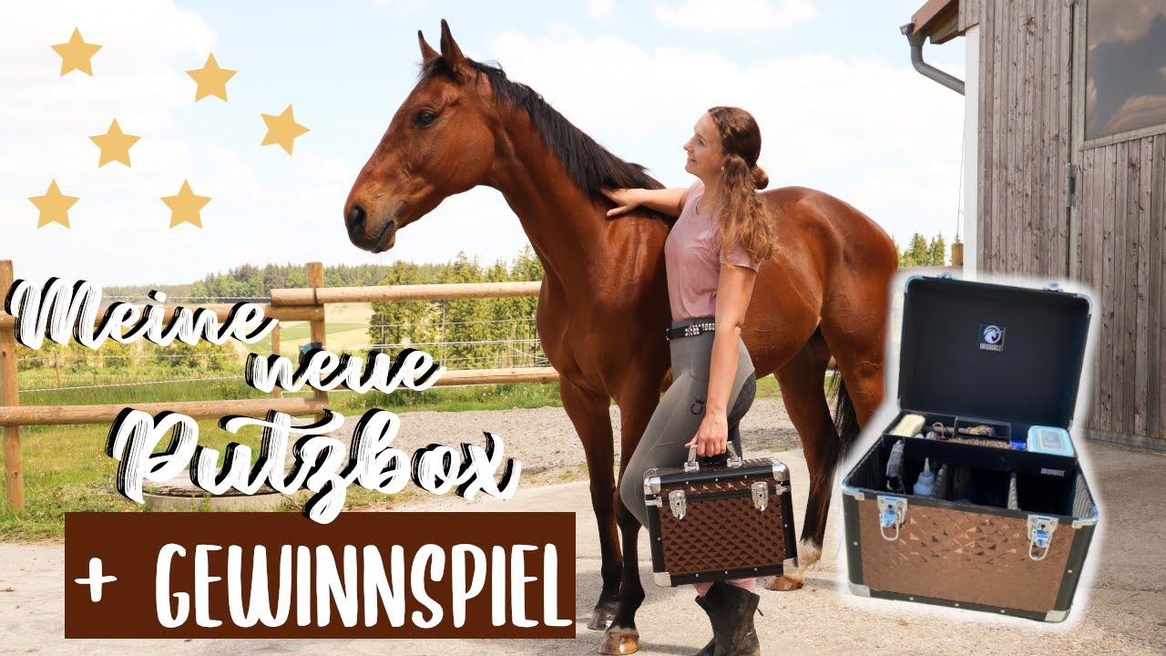 MEINE NEUE PUTZBOX & PUTZZEUG WASCHEN + GEWINNSPIEL!
