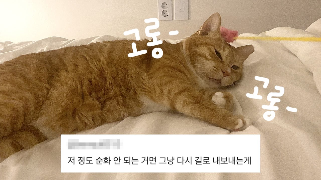 우리 오들이 다시 길로 보내라고 한 사람 나와