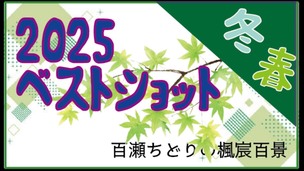 2025ベストショット・冬～春編　百瀬ちどりの楓宸百景№2217