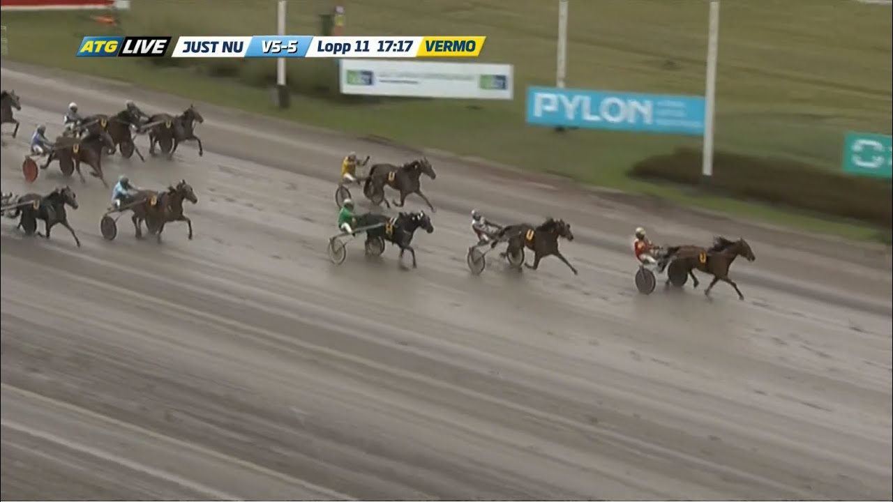 Finlandia-Ajo 2019, Readly Express