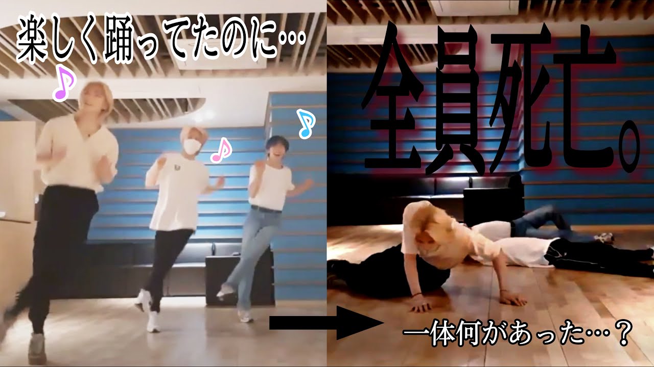 笑いたい時に見てください…【StrayKids/スキズ】