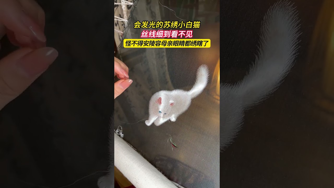 The eye-opening little white cat of Suzhou embroidery. It s hard to imagine that its glitt