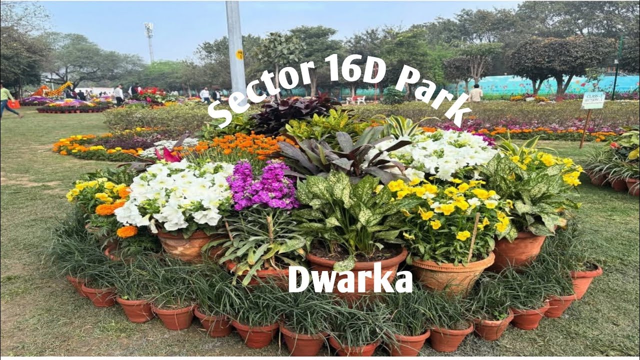 DDA Park Sector 16D, Dwarka Park🏞️