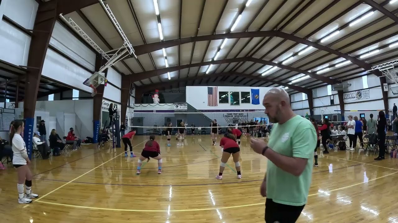 Premier 15D v. Premier 17N