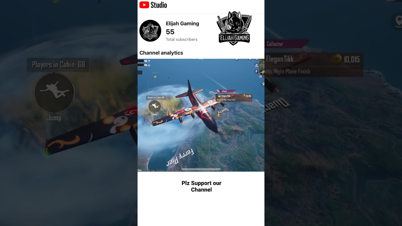 PUBG play with bots 