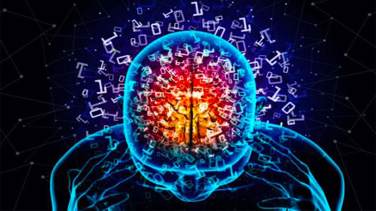 What is the Memory Capacity of the Human Brain ?