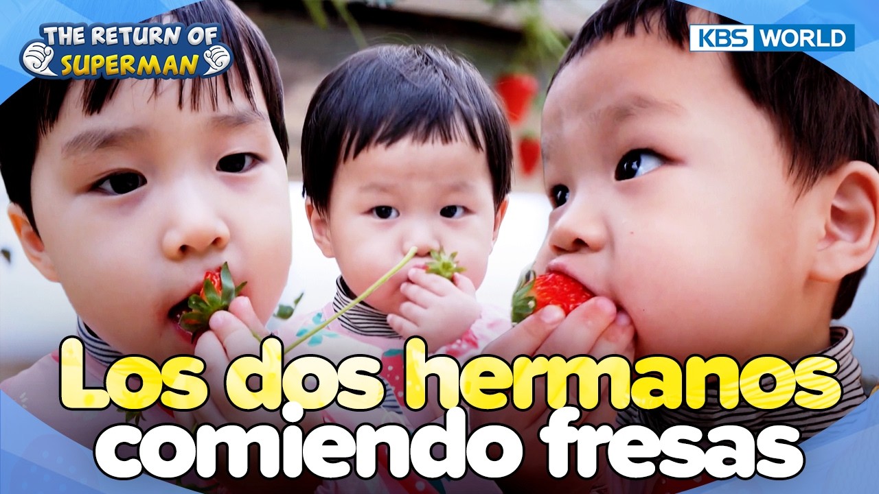 [ESP/JPN]💙Eunwoo's Family💙Me gustan las fresas🍓 [ERDS] | KBS WORLD TV 250205