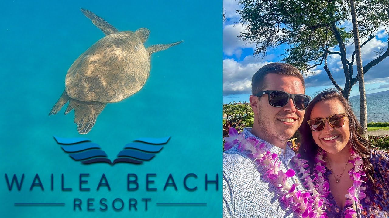 Swimming with Turtles at Wailea Beach Marriott Maui!