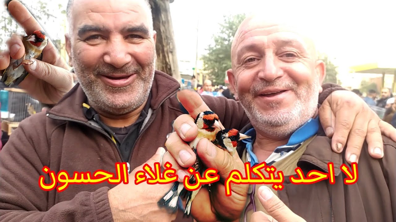 سوق الحراش المقنين | الجمهور لا يعلق على المباشر