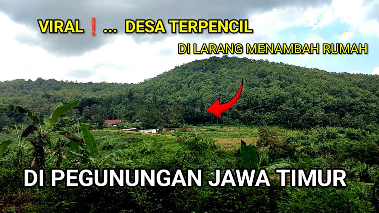 Viral desa terpencil di Jawa Timur 