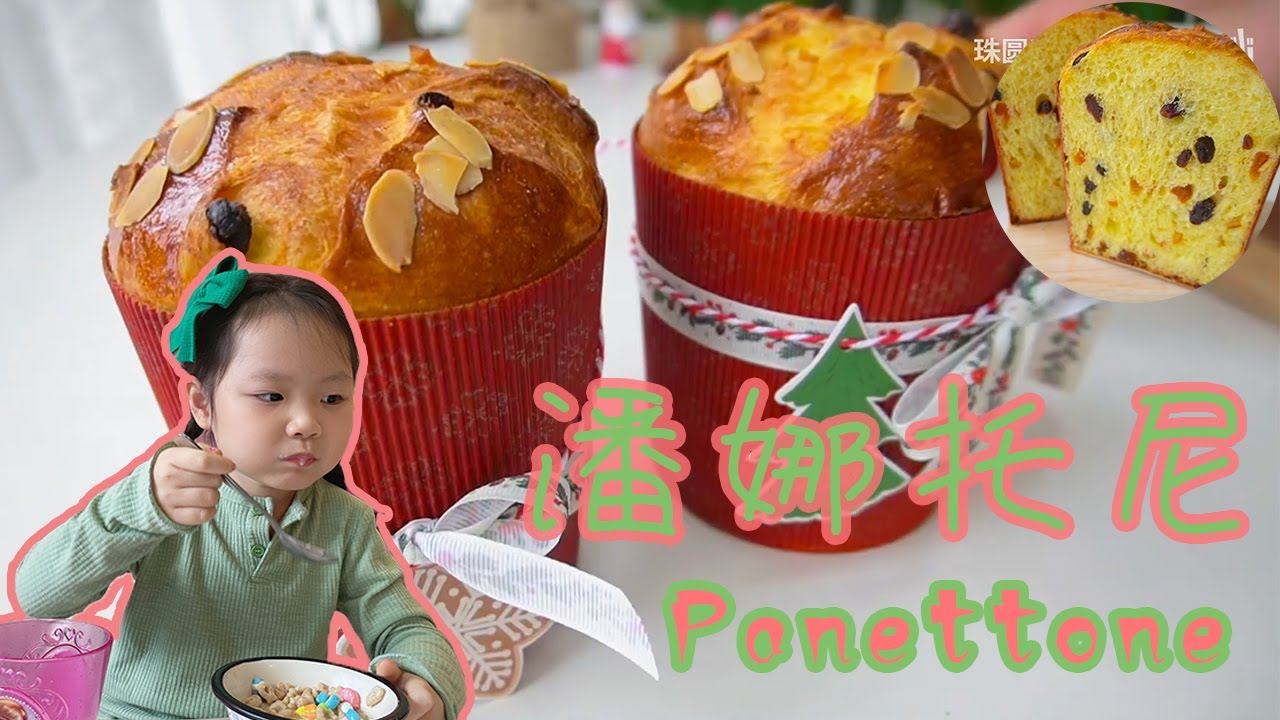 潘娜托尼简单实用食谱！panettone|新手5分钟学会免揉法制作意大利国宝级水果面包！|圣诞面包|珠妹馋了一整年！【珠圆玉润小姐】Panettone Bread