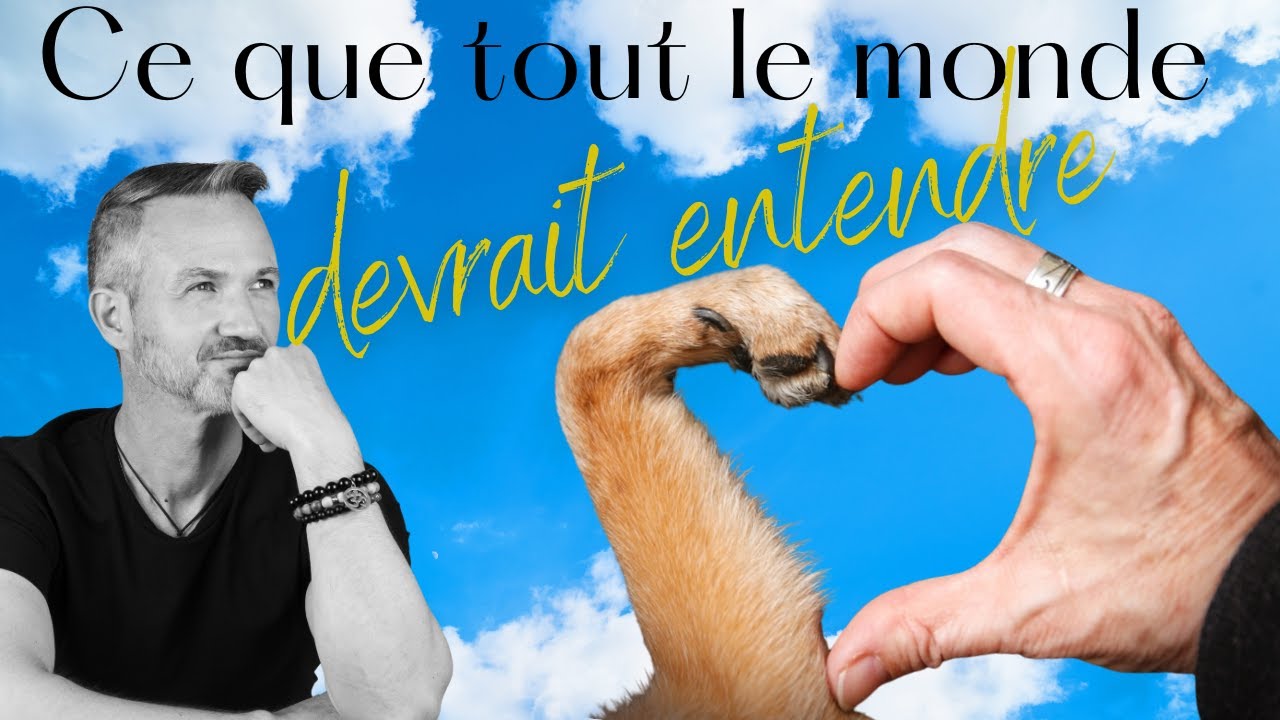 Je ne veux plus jamais avoir d'animaux !