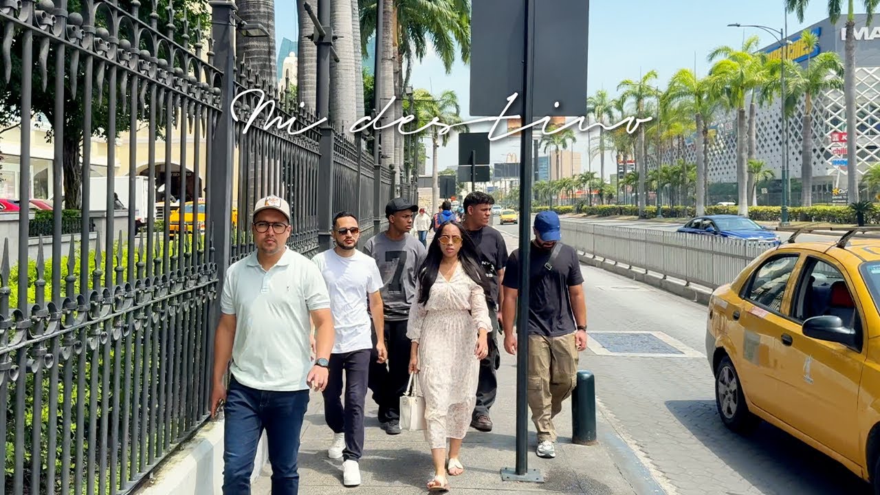 MI DESTINO - TDC (Visualizer)